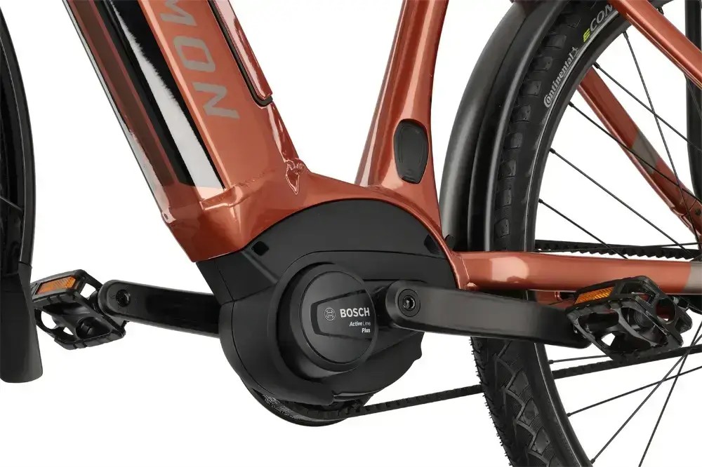 Rower elektryczny R-raymon Metmo Nexus (1x8)