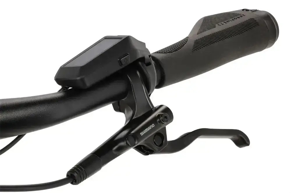 Rower elektryczny R-raymon Metmo Nexus (1x8)