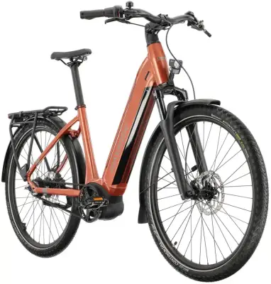 Rower elektryczny R-raymon Metmo Nexus (1x8)