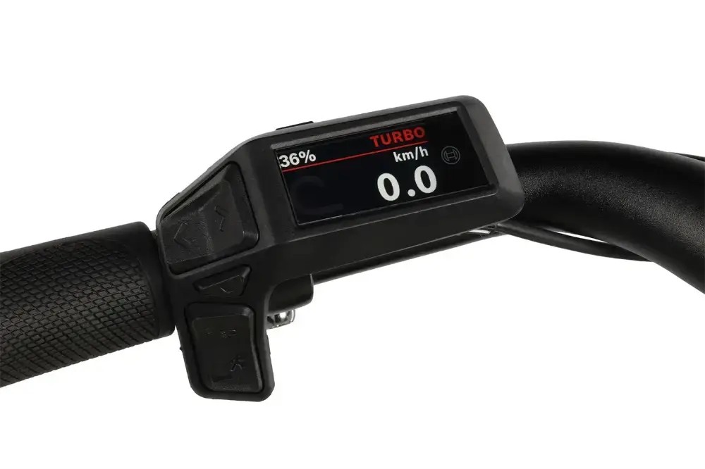 Rower elektryczny R-raymon Metmo Acera (1x8)