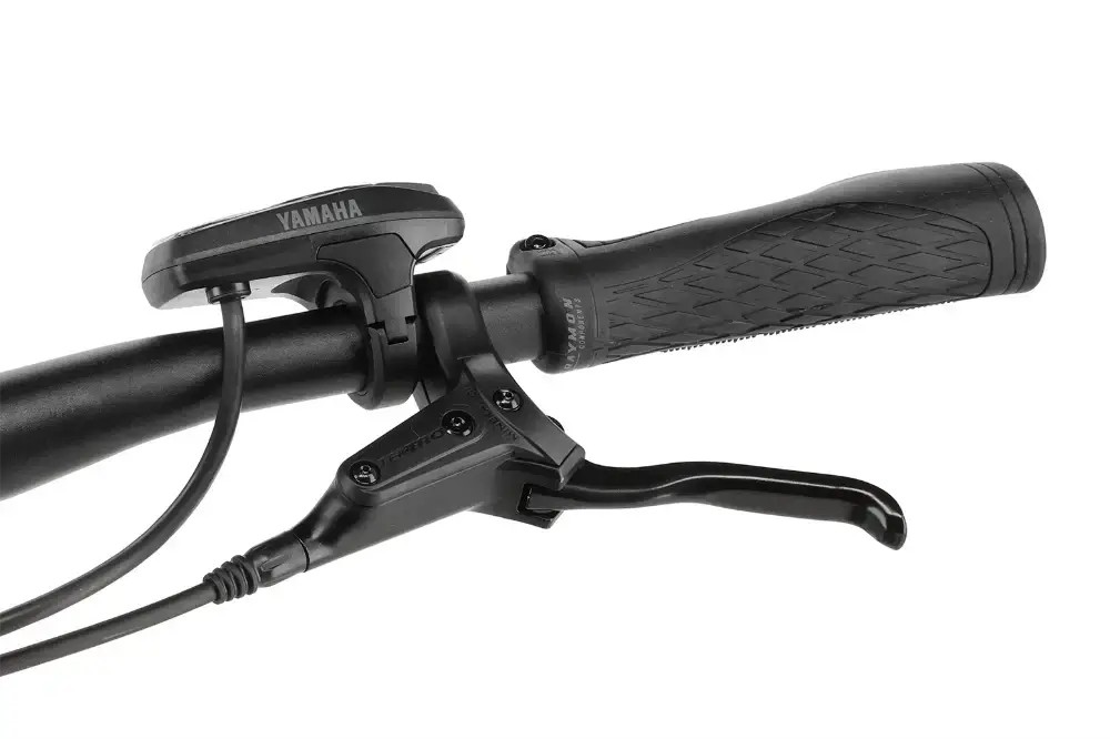 Rower elektryczny R-raymon Tourray Select