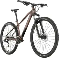 Mtb Rock Machine Manhattan 70-29 Bike