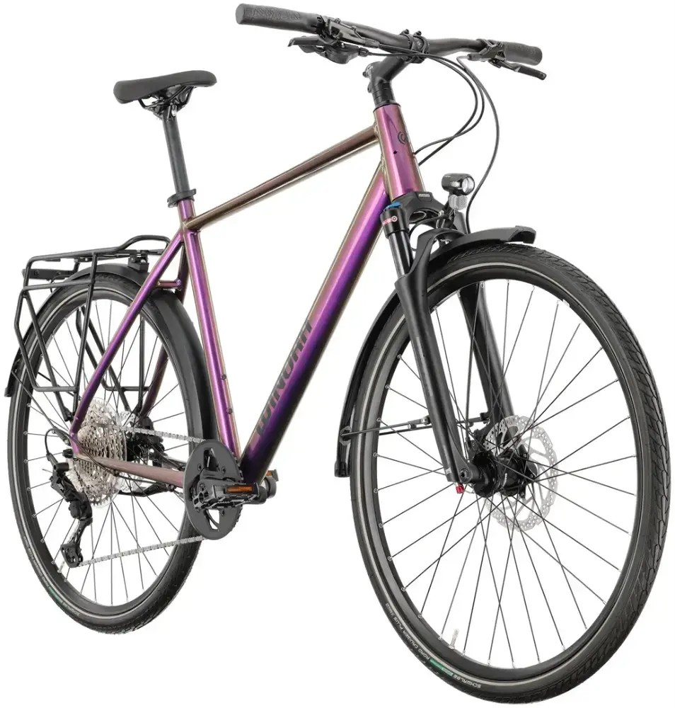 Rower trekkingowy Winora Domingo 12 Pro