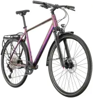 Rower trekkingowy Winora Domingo 12 Pro