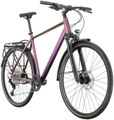 Rower trekkingowy Winora Domingo 12 Pro