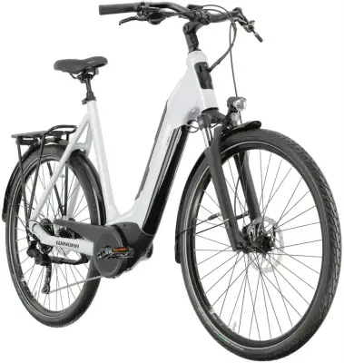 Winora Tria X9 Electric Bike