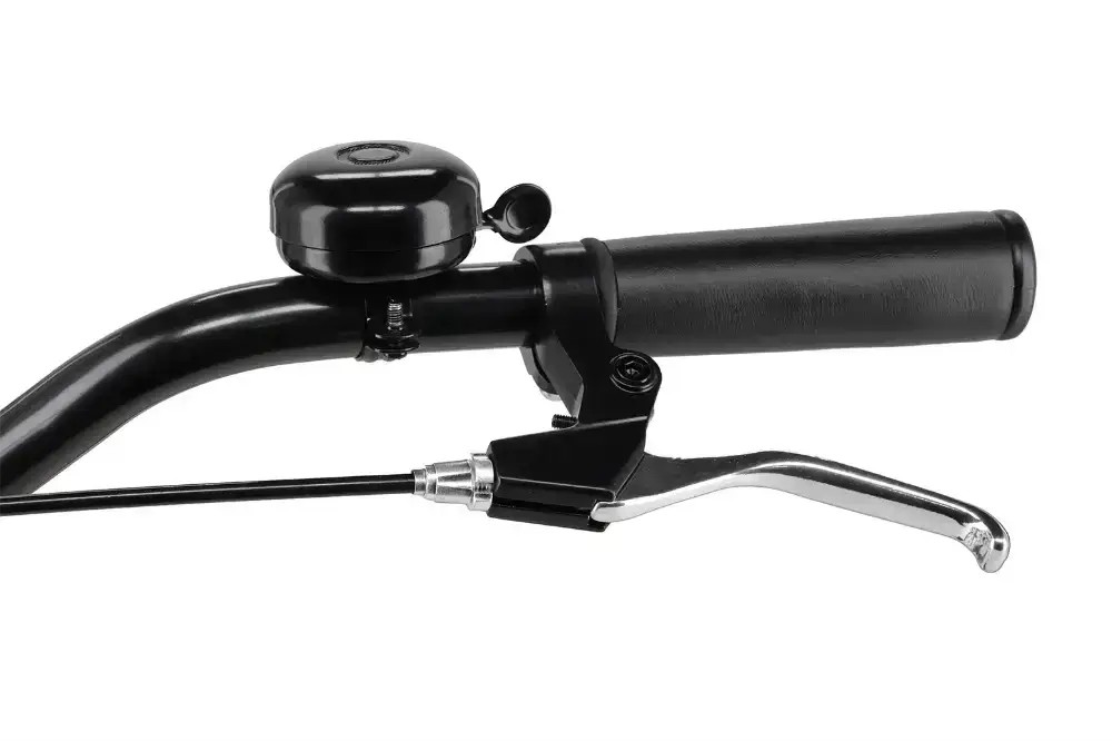 Rower miejski Embassy California Man