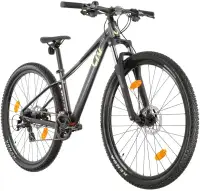 Liv Tempt 4 29 Women's Mountain Bike