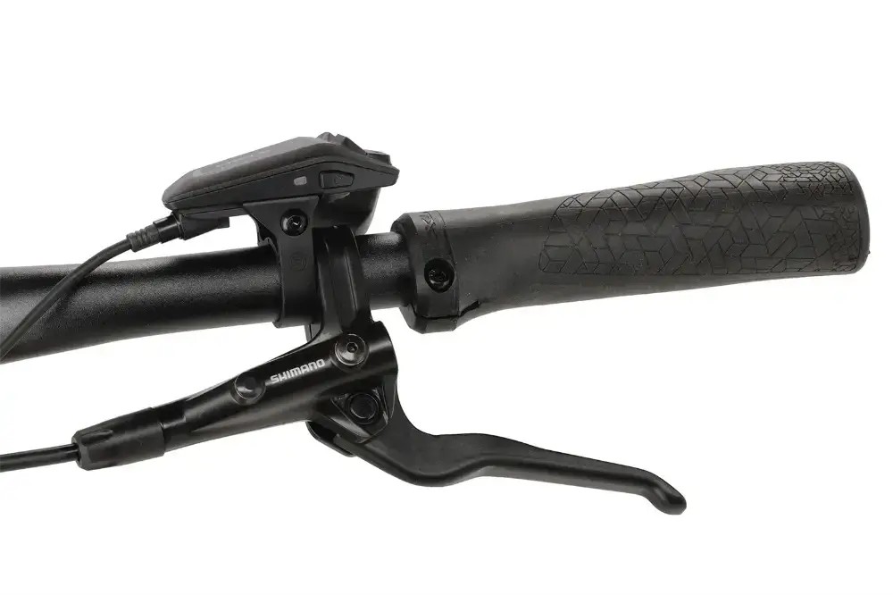 Rower elektryczny Winora Tria 10