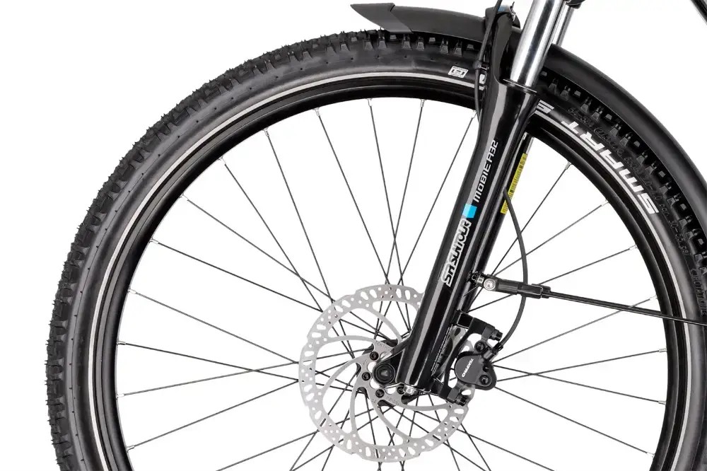 Rower elektryczny R-raymon CrossRay E 6.0 9S M350