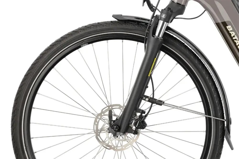 Rower elektryczny Batavus Altura E-Go Power Plus