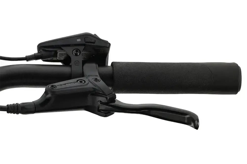 Rower elektryczny Batavus Altura E-Go Power Plus