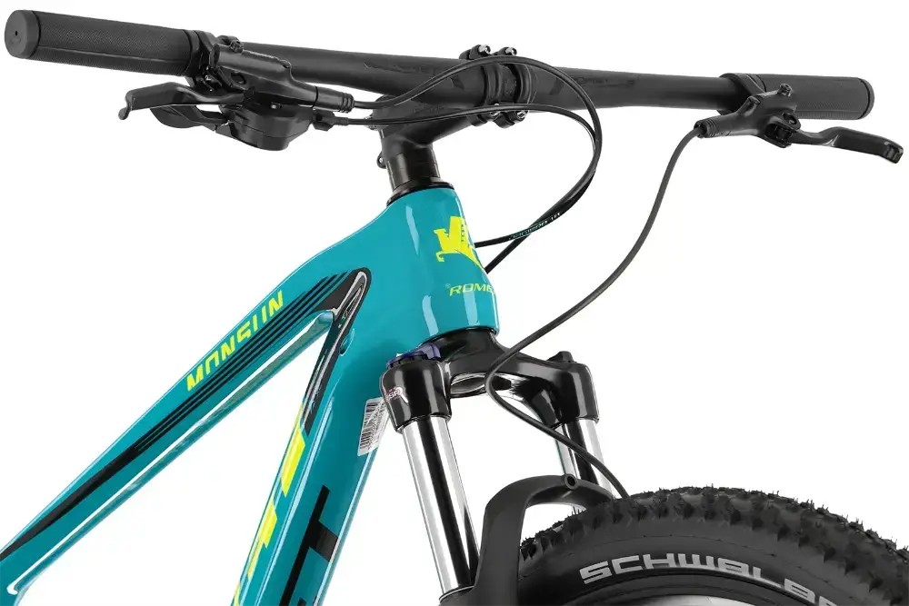 Rower Mtb Romet Monsun Ltd Carbon