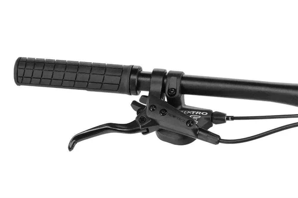 Rower elektryczny Gasgas Tra 5