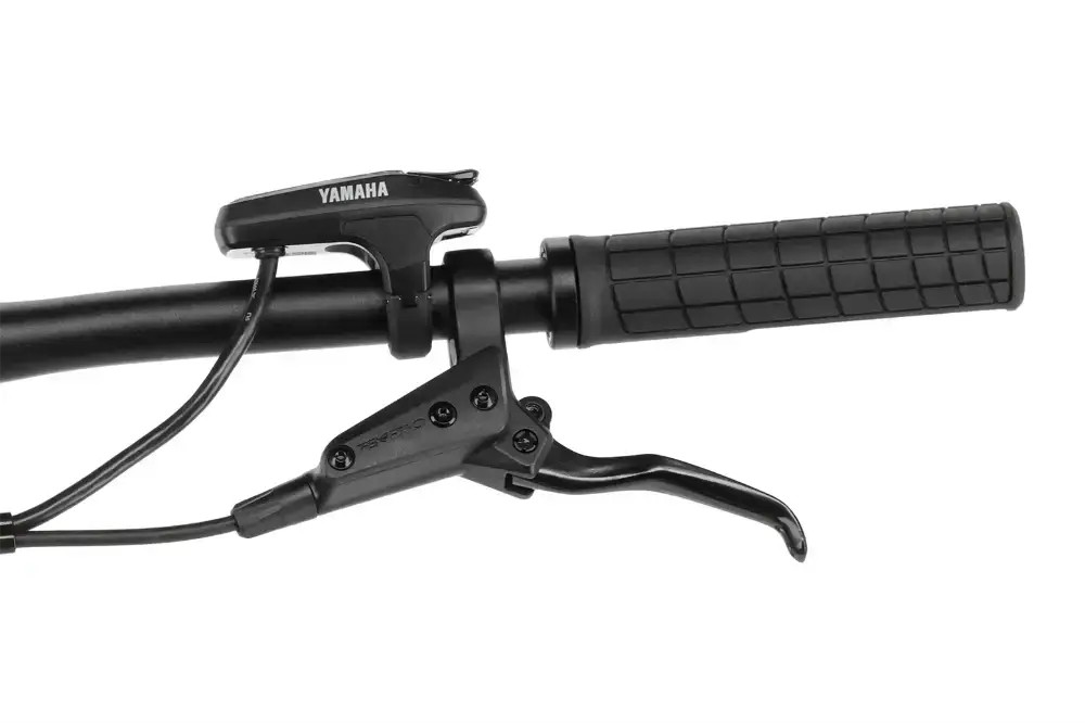 Rower elektryczny Gasgas Tra 5