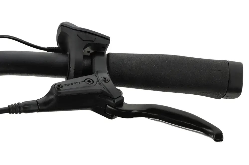 Rower elektryczny Batavus Finez E-go Power