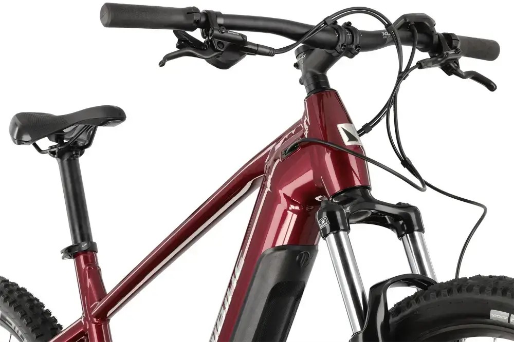 Rower elektryczny Haibike AllTrack 5 29 Cues