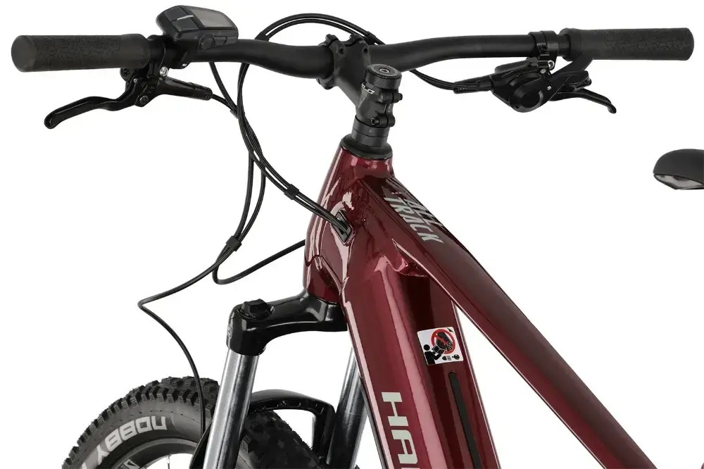 Rower elektryczny Haibike AllTrack 5 29 Cues