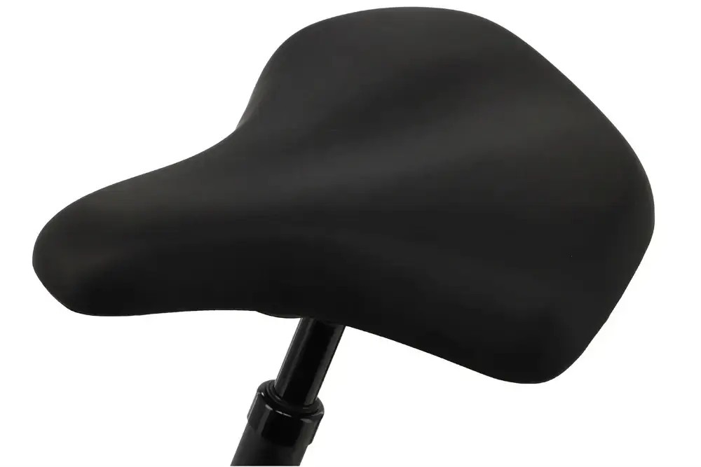 Rower elektryczny Batavus Finez E-go Power Plus