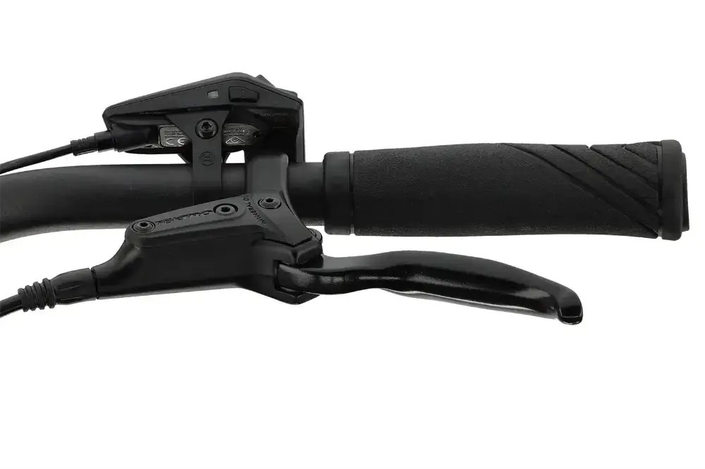 Rower elektryczny Batavus Finez E-go Power Plus